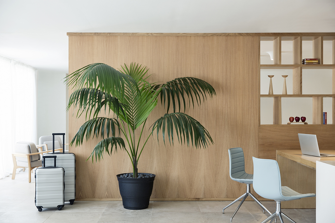 Vacaciones de Lujo con Niños en un Hotel en Playa Mujeres