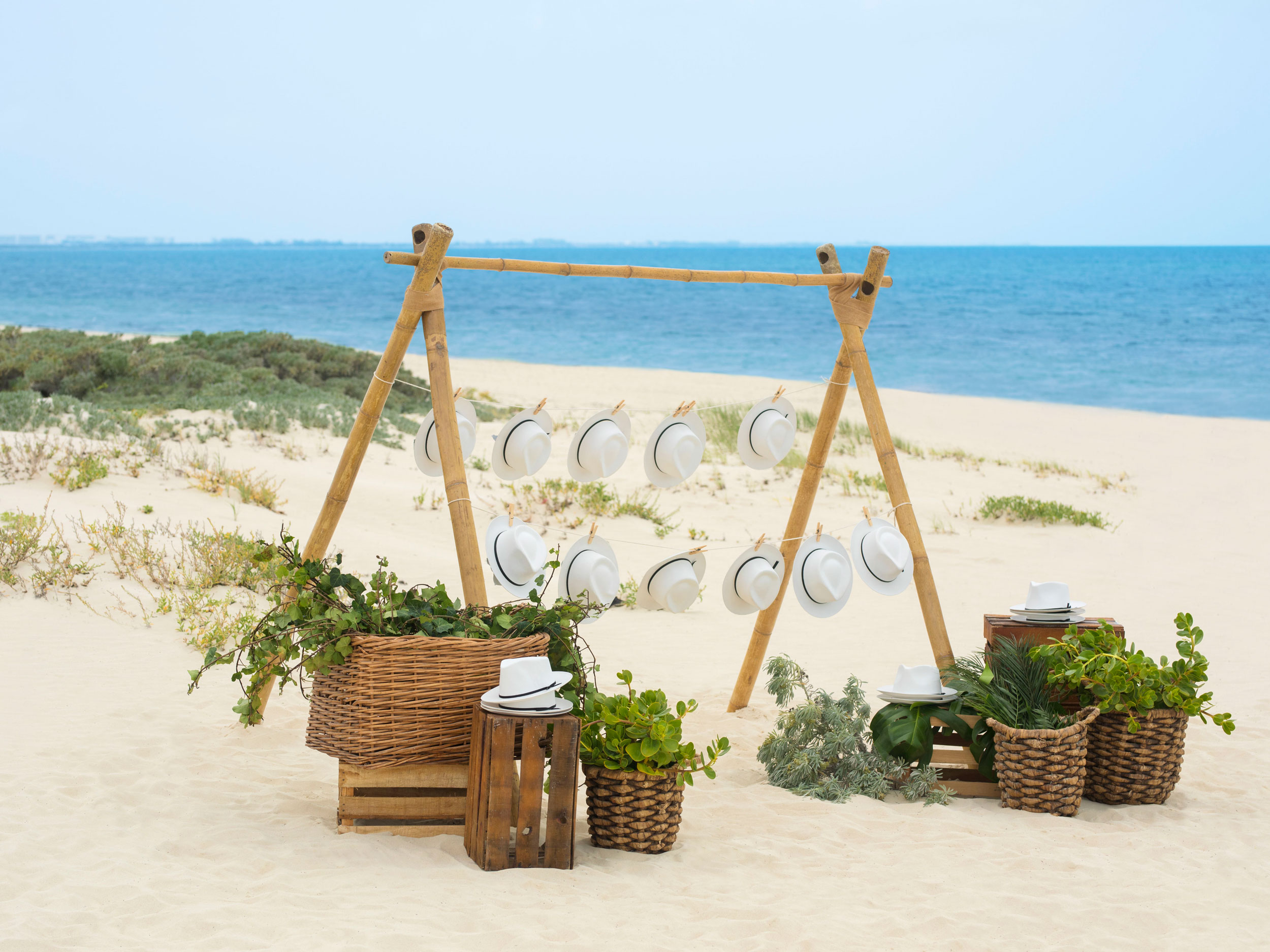 Mise en Scène de Mariage Sur le Sable Blond